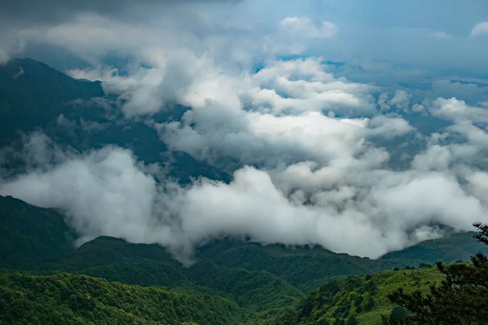 江西武功山旅游推荐,武功山附近避暑好玩的地方