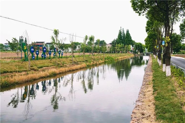 张家港最美的风景,杭州十大美丽河道