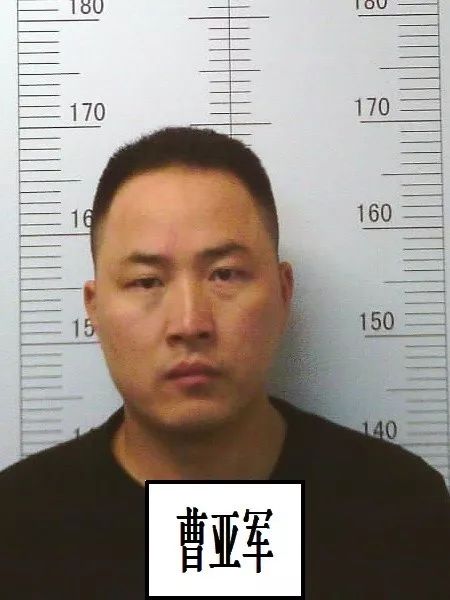 王蕾涉黑案公审判决,关于公开征集涉黑涉恶