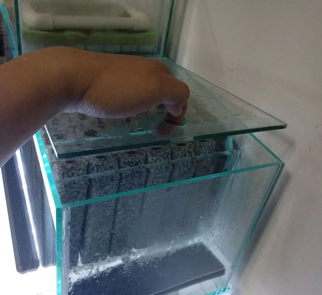 大神「鱼勇」DIY一缸多用“直播”教程，好缸无需再等