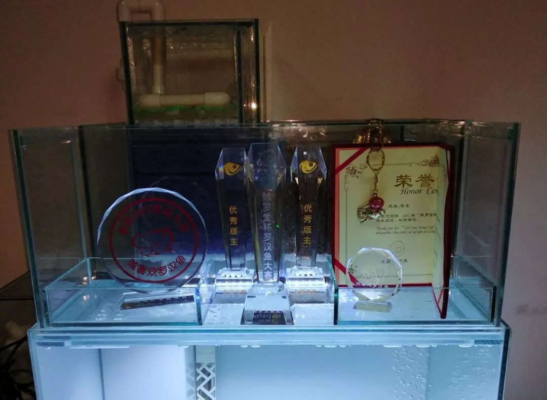 大神「鱼勇」DIY一缸多用“直播”教程，好缸无需再等