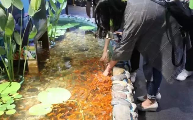 普通门票疯狂动物城,假期打卡疯狂动物城