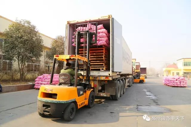 今天，人民网聚焦邳州：小蒜头撬动百亿级大产业