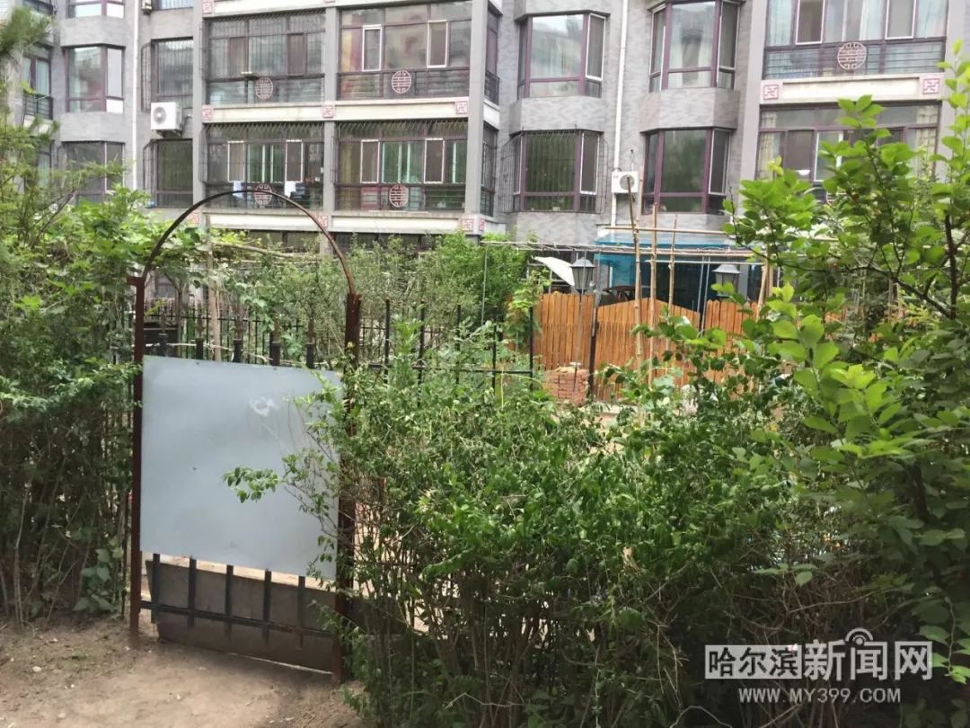 泰富长安城公共绿地被连片侵占丨举报36类”闹心事“#让陈年”烂账“见光死#