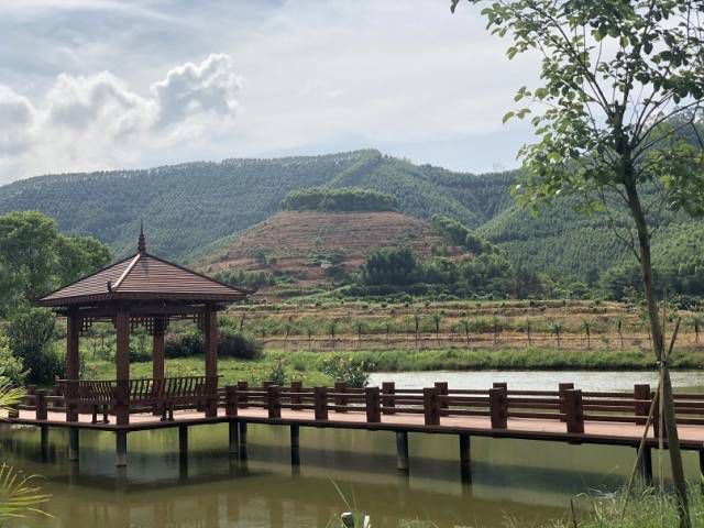 肇庆鼎湖重阳登高,中秋肇庆去哪玩