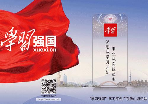 狮山镇发展模式,佛山城市融合