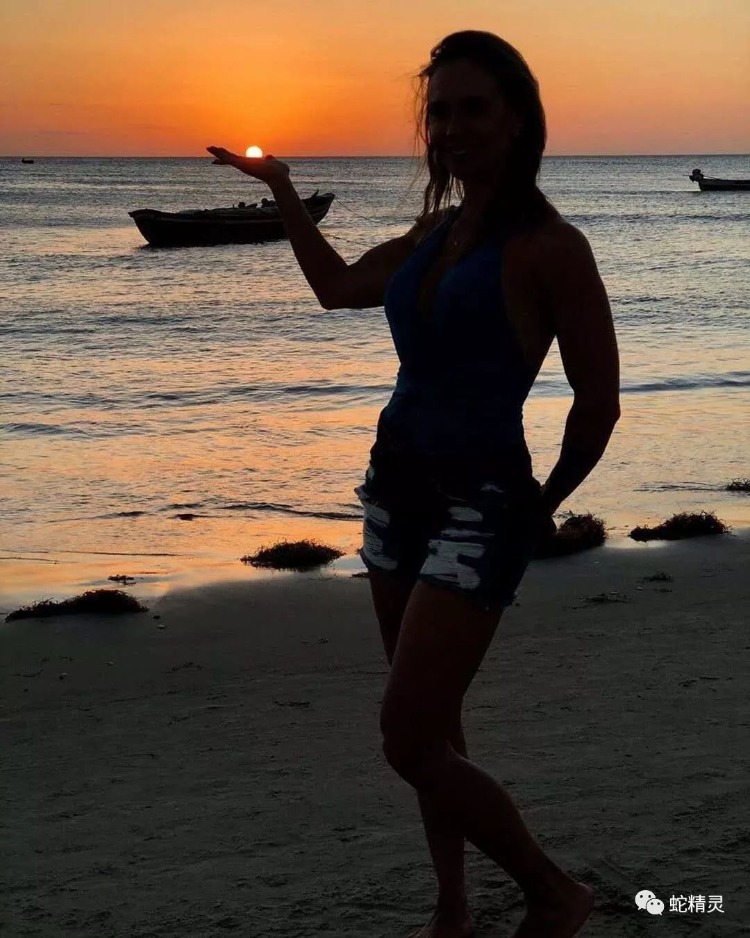 蓝黑转会,蓝黑军团最新信息