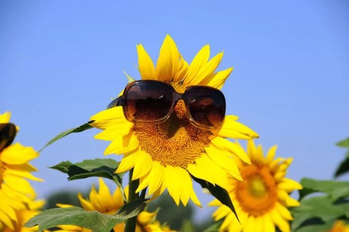 鬼剃头也没什么好治疗的方法,农村给人驱鬼办法有哪些