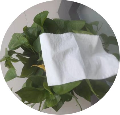 非瘟后的猪场消毒程序,非瘟猪场消毒总结