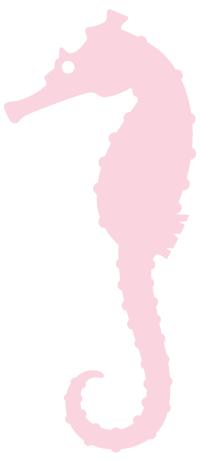 「今日宾川」“黄帝内针”显奇效，7天时间5千宾川人“领教”