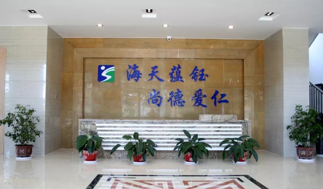 让爱回家温情,综艺片让爱回家