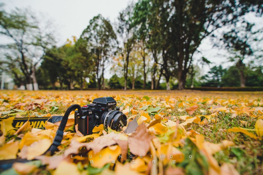 厦门青岛之旅,出行去厦门