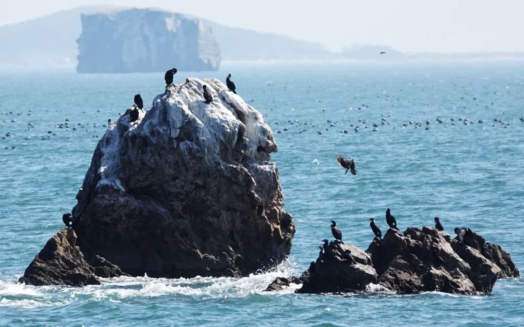 厦门青岛之旅,出行去厦门