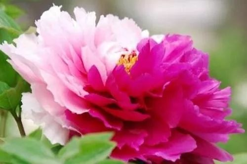 荐读全文,赤壁鏖战怎么读