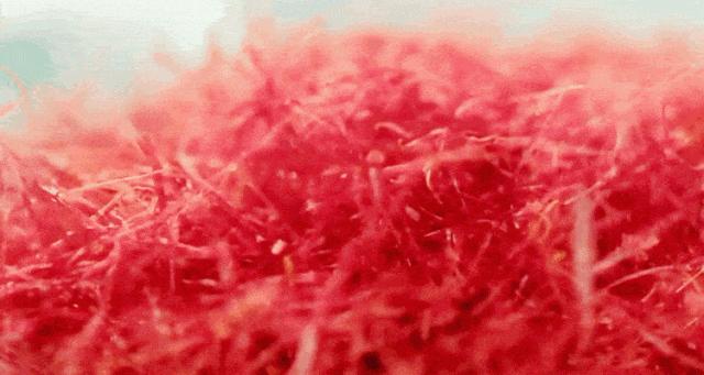 有了它，睡一觉恢复好状态，焕发健康“少女感”