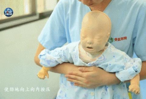 造成虾生病的原因,为什么虾会突然发病