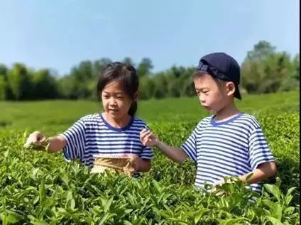 来西双版纳，做大自然的学生|雅居乐·西双林语夏令营开始报名啦