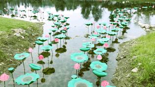 成都双流区旅游省钱攻略推荐,五一在双流适合去哪旅游