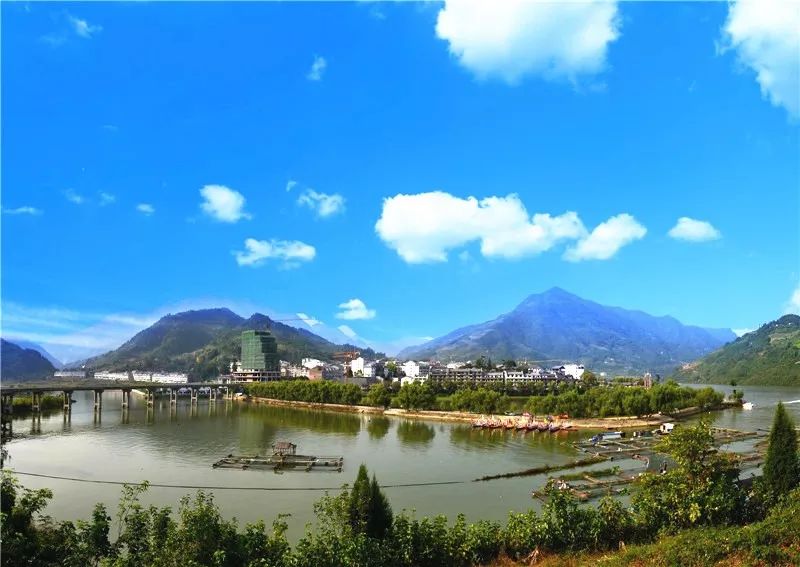 石泉|“鱼”生请多指教