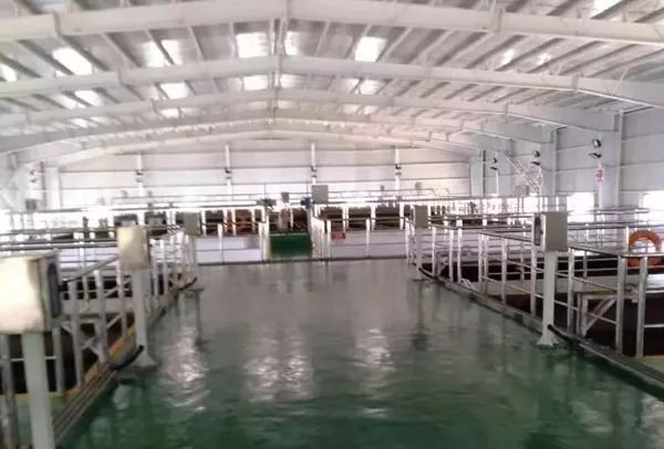 农村有哪些扶持项目,现在国家扶持的农村项目都有哪些