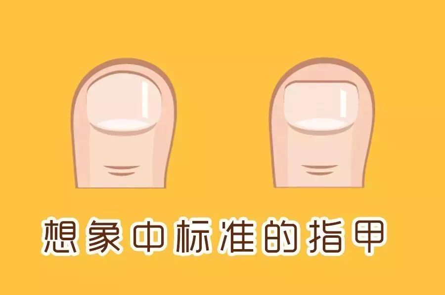 剪指甲错层,指甲该怎么剪才是正确的