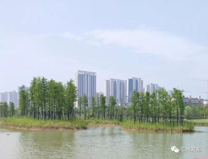 安徽亳州后天的空气质量良好,亳州空气质量指数全国排名