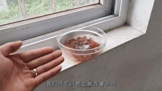 床底撒把花椒是什么意思,在床底撒一把花椒有什么作用