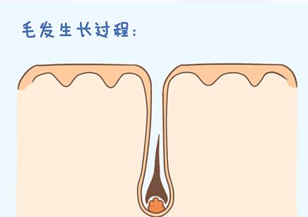 脱发有人治好吗,脱发治好了还能长出新发吗