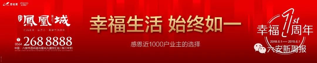 金安区初中学校学区划片图,金安区初中部片区划分
