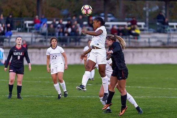 佳能r6和索尼a7m3和尼康z6,索尼a7m324-105和尼康z6