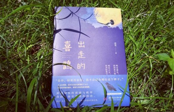 作者的编辑是干什么的,编辑都在干什么