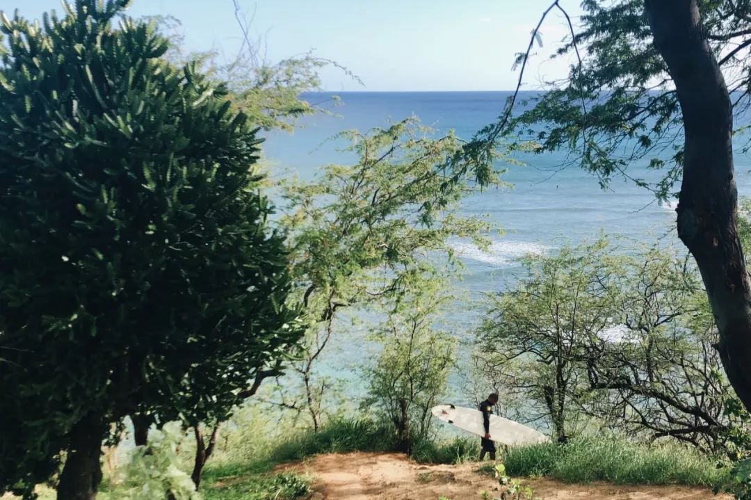 夏威夷旅游攻略阿罗哈,夏威夷maui岛旅游攻略