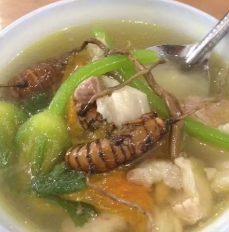 都在夏天发病！宁波夫妇相继呕吐全身抖动！只因喝了这种汤