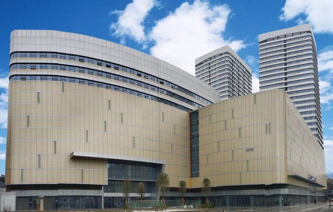 新荷花池,2020年新荷花池