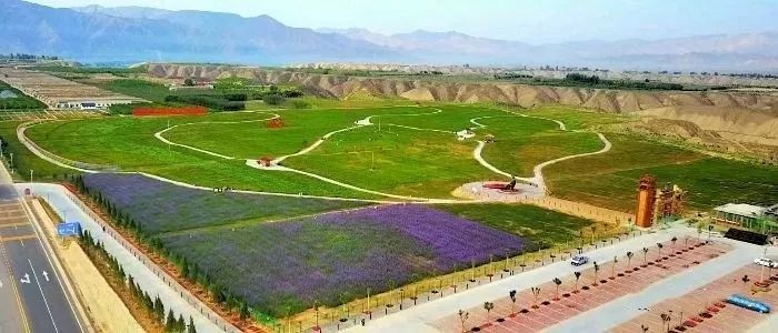 白银市区到大坪花海,去大坪玩攻略