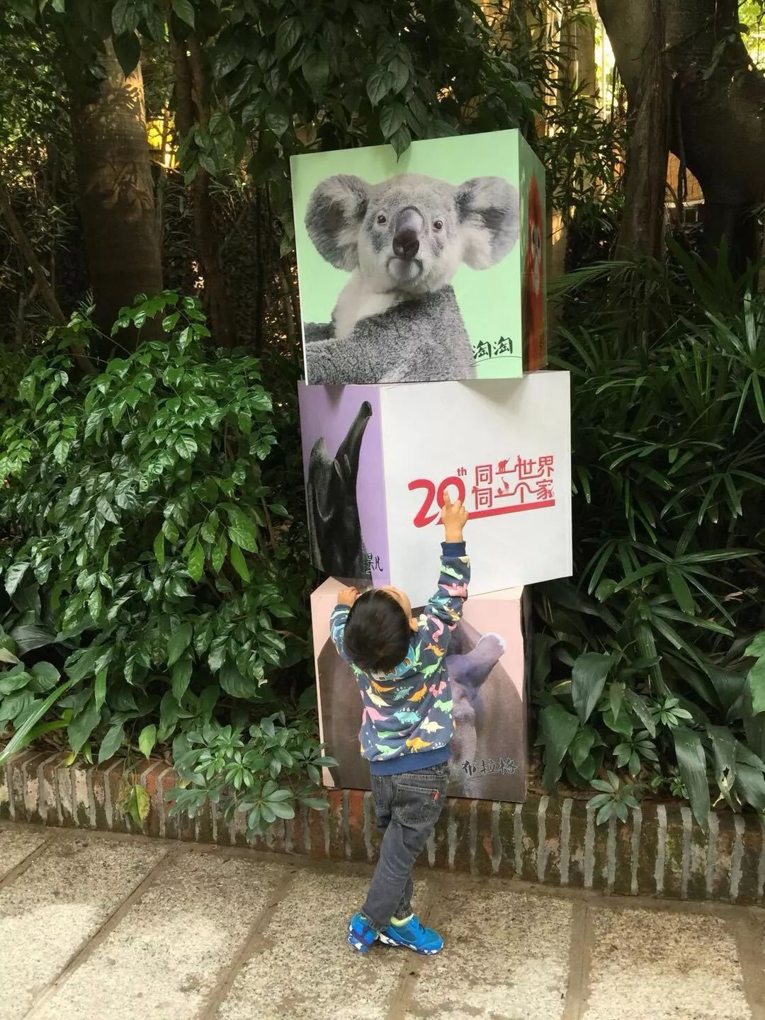 广州长隆动物园亲子游攻略三日游,广州长隆动物园游玩攻略