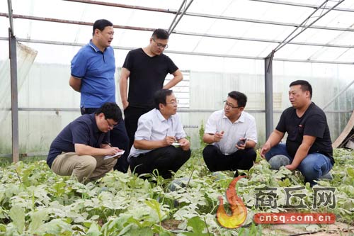 城乡面貌日新月异人居环境改善,镇村风貌日新月异