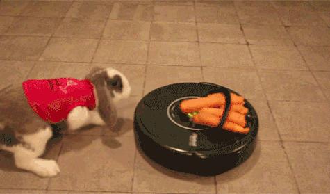 2020跨年狂欢夜,跨年狂欢夜告别2020年最后一天