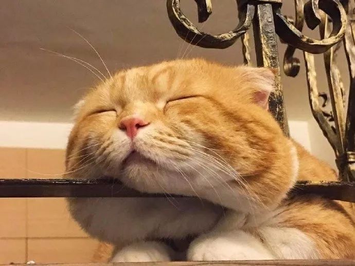 办公室无限量零食推荐,好吃健康的办公室零食推荐