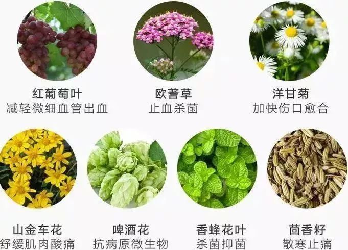 提前购|这些早晚都要买的刚需好物，居然有不要钱白拿的机会