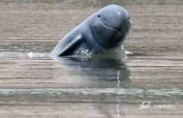 缅甸一日游经典攻略,缅甸旅游3-4天攻略最佳线路