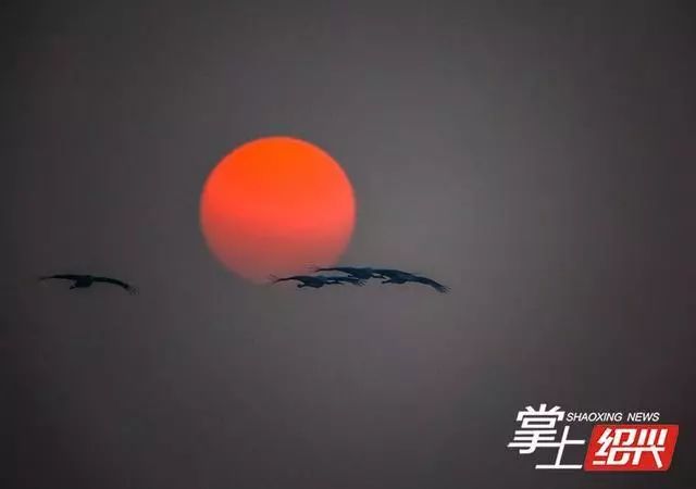 你好绍兴地铁,你好绍兴