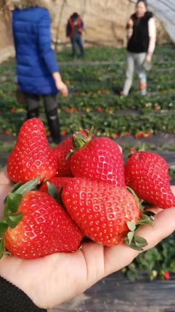 中国那些美丽到醉人的乡村,乡村旅游有哪些特色村庄