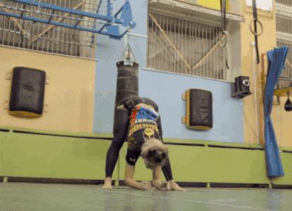 寿命“过刚易折”，身体太硬的人健康堪忧！“解冻”身体，就这一招