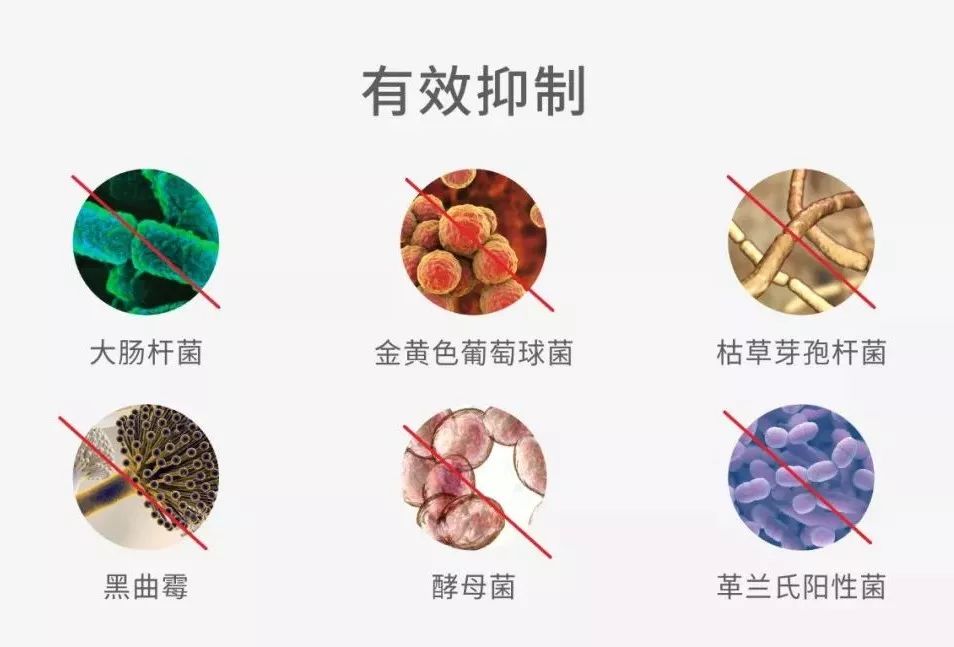 鍐呰。闄よ弻鍑濋湶,鎶戣弻鍐呰。鍑濋湶