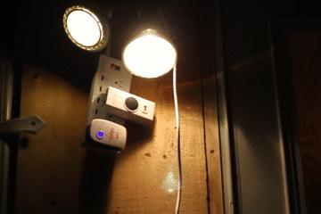 蚊子驱蚊音乐,蚊子灭蚊神曲