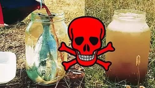 可乐真的会导致骨质疏松吗,可乐腐蚀骨头辟谣