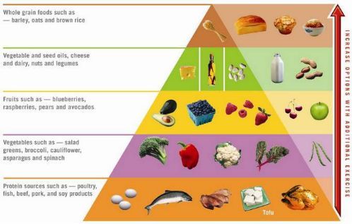 吃肥肉减肥法对人体健康有影响吗,正确饮食减肥减掉的是体脂还是肉