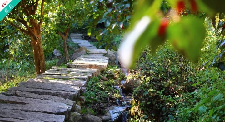 洛阳养子沟自驾游攻略,洛阳养子沟的景点