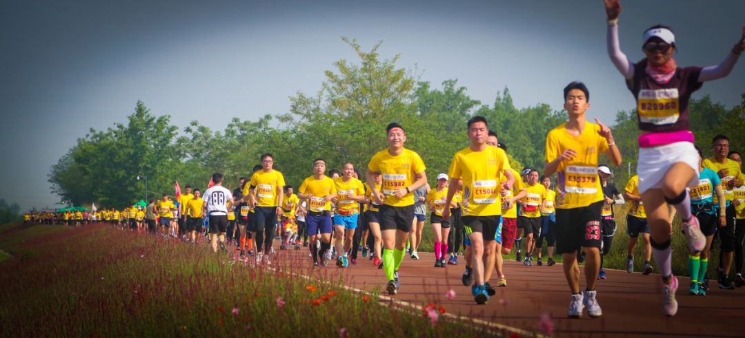 璇绘噦12鏃惰景,鍗佷簩鏃惰景鐪嬫噦浜虹敓
